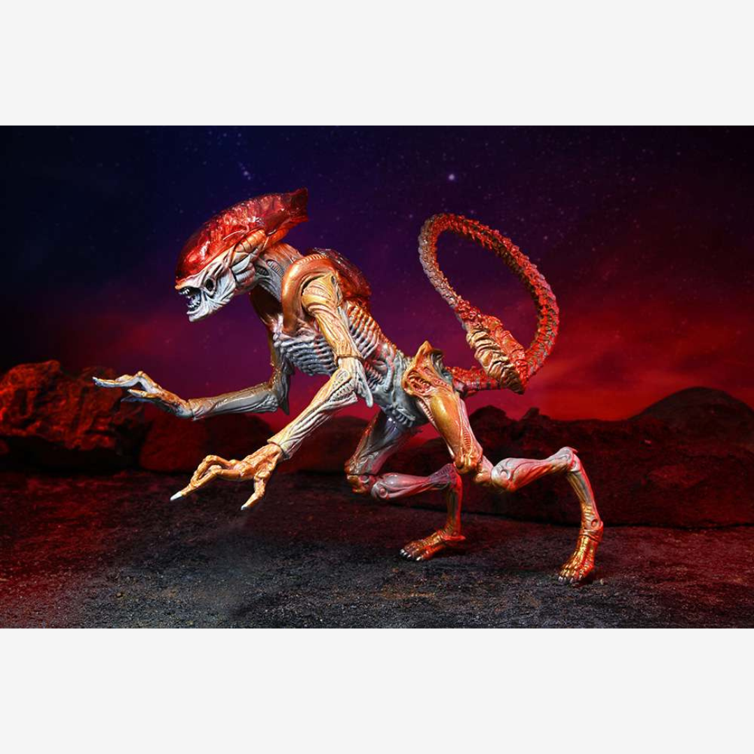 Confezione action figure NECA Panther Alien – versione retro Kenner con parassita magnetico e box vintage per collezionisti Alien.