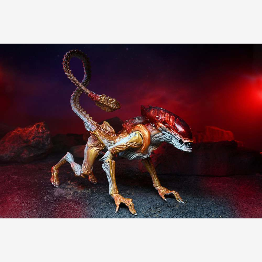 Confezione action figure NECA Panther Alien – versione retro Kenner con parassita magnetico e box vintage per collezionisti Alien.