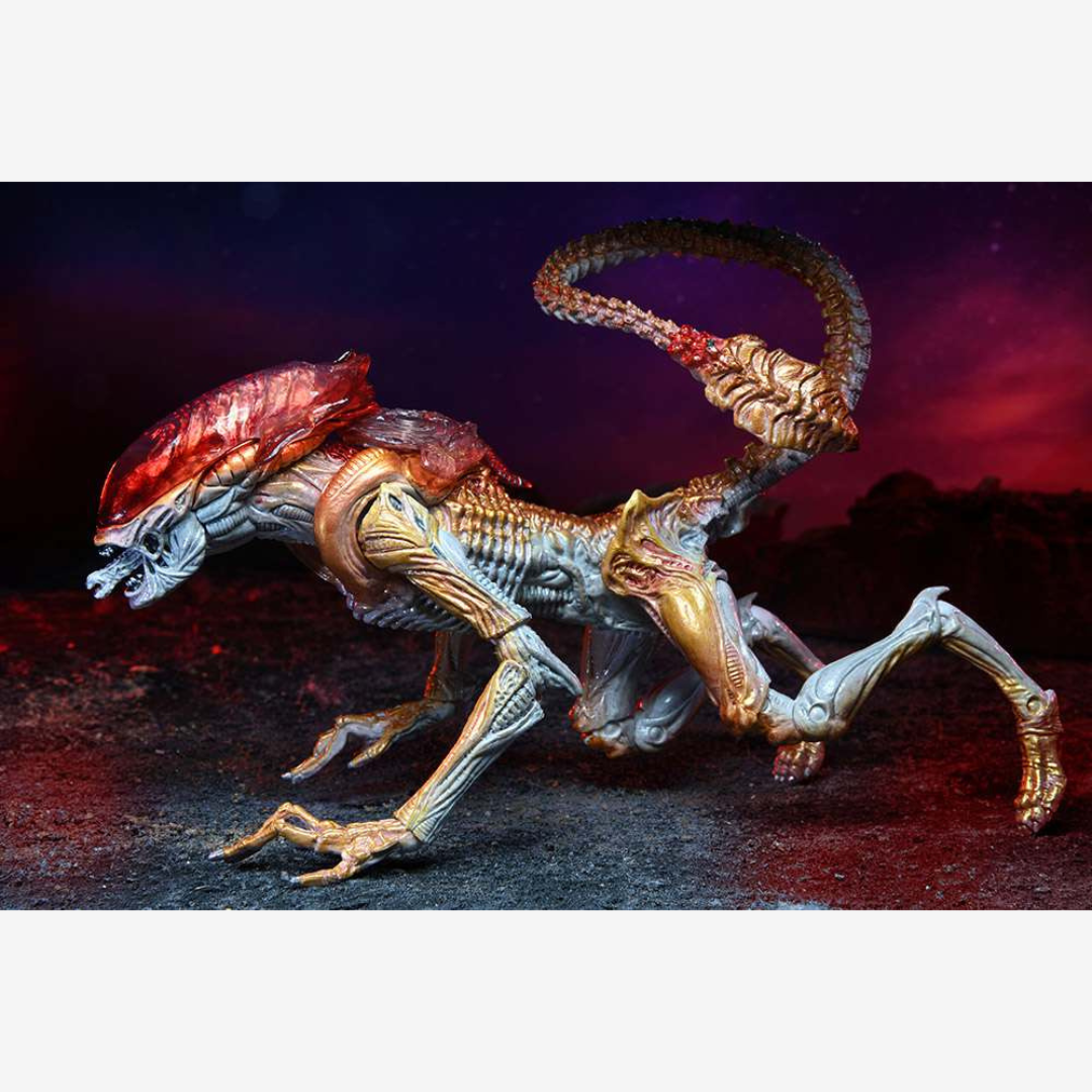 Confezione action figure NECA Panther Alien – versione retro Kenner con parassita magnetico e box vintage per collezionisti Alien.