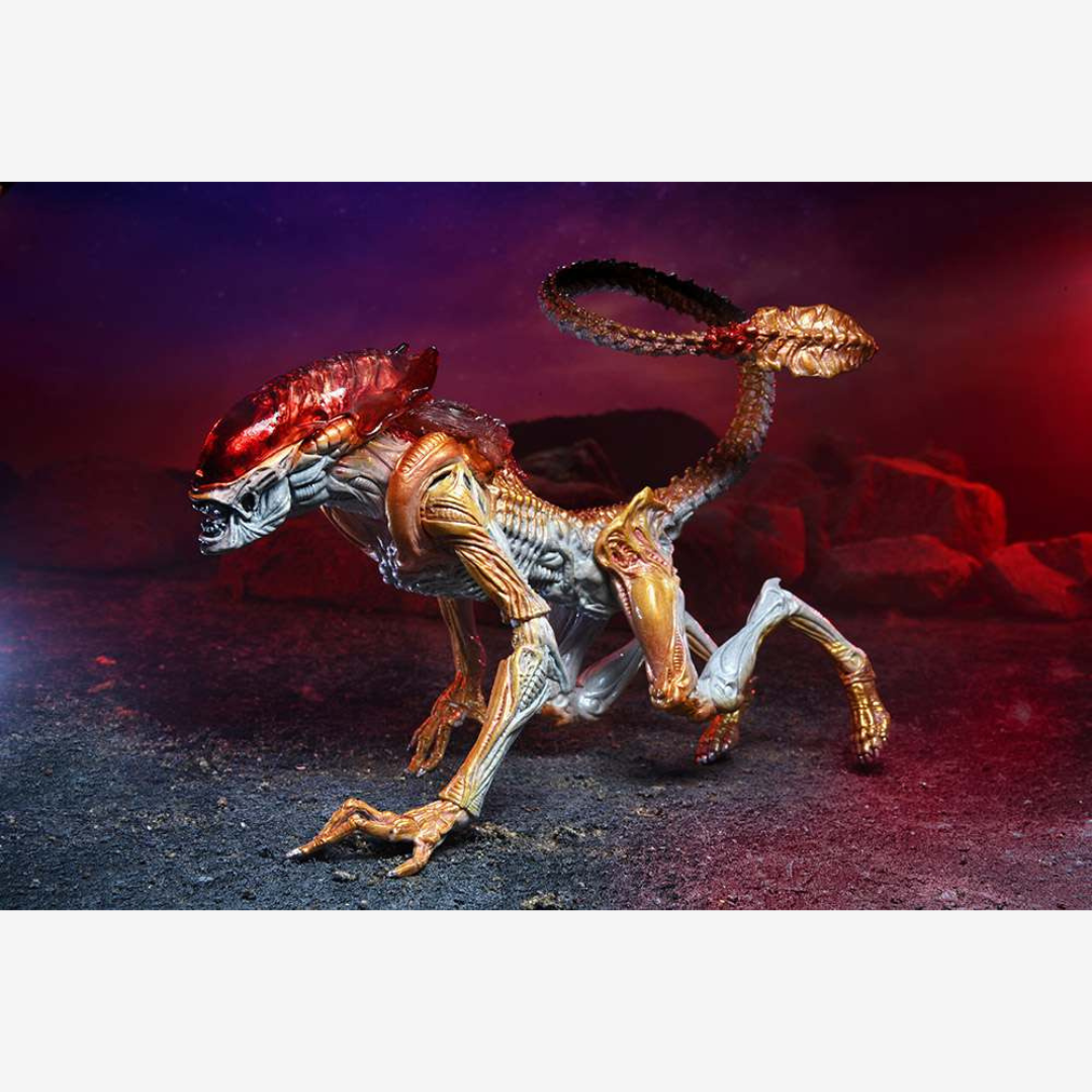 Confezione action figure NECA Panther Alien – versione retro Kenner con parassita magnetico e box vintage per collezionisti Alien.